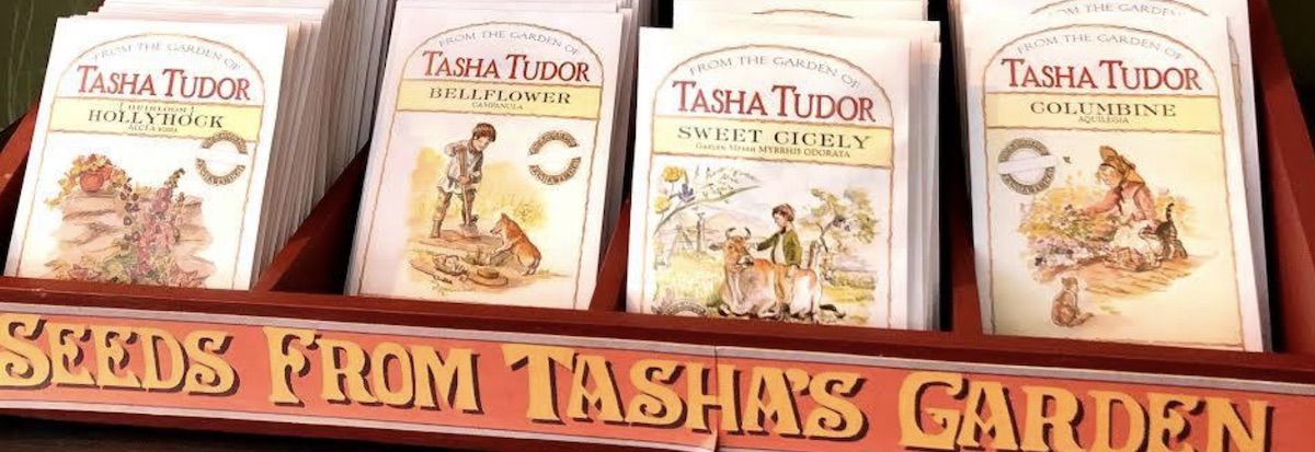 Many packets of hollyhock, bellflower, sweet cicely, and columbine seeds from Tasha's garden. Packets say Tasha Tudor on the front and have Tasha Tudor's illustrations on them.