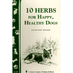 Ten Herbs for Happy, Healthy Dogs Booklet