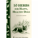 10-herbs-for-dogs049-square