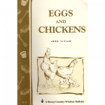 eggs-and-chickens-square