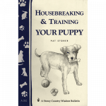 housebreaking-puppy-square