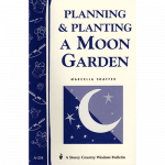 planning-moon-garden-square