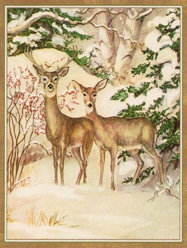 caspari_rare_card_-_two_deer_in_forest_2119085175